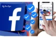 Facebook badge bleu payant